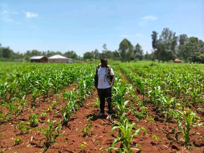 Farm